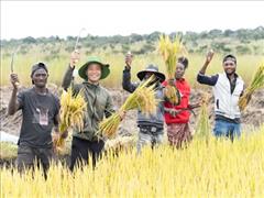 Quang Linh Vlogs - chàng trai Việt dạy người dân châu Phi trồng lúa nước