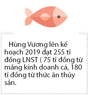 “Vua ca Hung Vuong” gap may