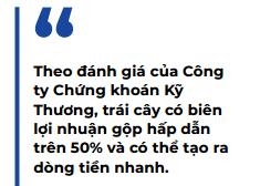 HAGL tranh thu co hoi tu Campuchia-Trung Quoc