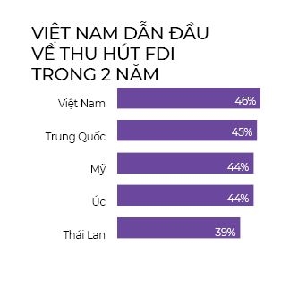 Tham do FDI, tham xam moi truong