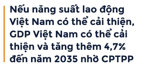 CPTPP va giac mo thinh vuong cua Viet Nam hinh anh 5