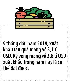 Xuat khau gan 4 ti USD, rau qua tim dot pha voi 